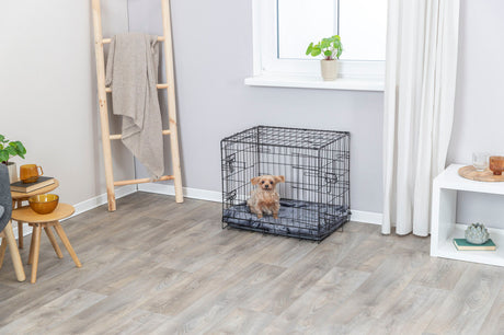 Ein kleiner Hund sitzt in einem schwarzen Drahtkäfig auf einem grauen Kissen in einem Wohnzimmer mit Holzboden.