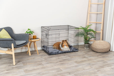 Ein Hund liegt in einem schwarzen Gitterkäfig auf einer Decke in einem modernen Wohnzimmer mit Stuhl, Tisch und Pflanze.