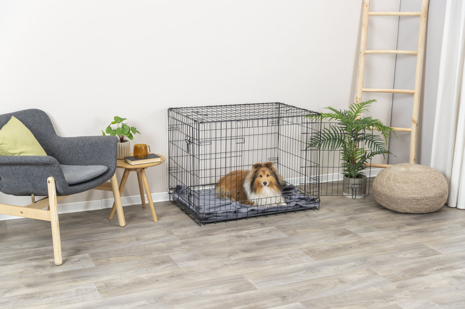Ein Hund liegt in einem schwarzen Gitterkäfig auf einer Decke in einem modernen Wohnzimmer mit Stuhl, Tisch und Pflanze.