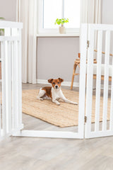 PHO_PRO_DOG_39363-1