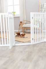 PHO_PRO_DOG_39363-2