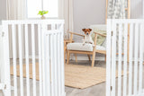 PHO_PRO_DOG_39363-4