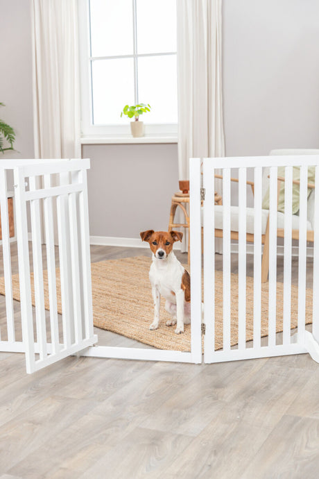 PHO_PRO_DOG_39363-5