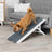 PHO_PRO_DOG_39375-1