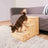 PHO_PRO_DOG_3943-2