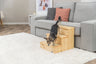Ein kleiner Hund benutzt eine Holztreppe neben einem grauen Sofa, das auf einem weißen Teppich steht.