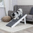 PHO_PRO_DOG_39462-4