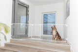 PHO_PRO_DOG_39464-2