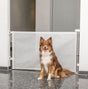 PHO_PRO_DOG_39466-3