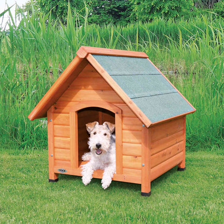 PHO_PRO_DOG_39530-1