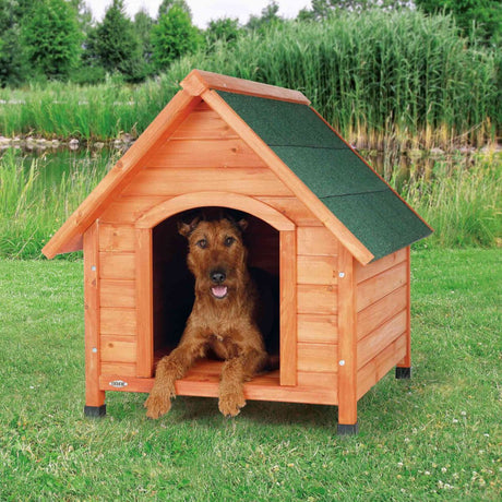 PHO_PRO_DOG_39531-1