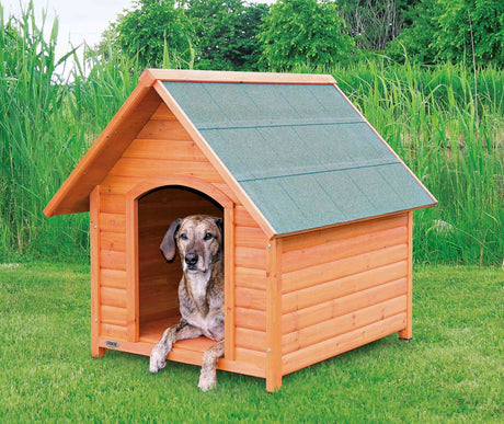 PHO_PRO_DOG_39533-1
