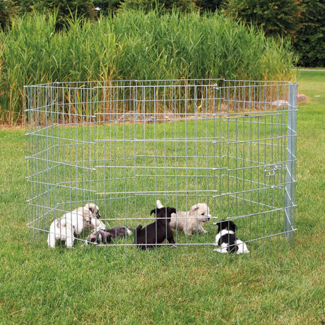 PHO_PRO_DOG_3954-1
