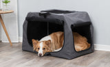 Ein orange-weißer Hund liegt in einer grauen, offenen Transportbox auf einem Holzboden vor einer blauen Wand.