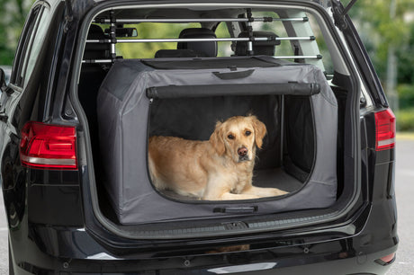 Ein Hund liegt in einer Transportbox im geöffneten Kofferraum eines schwarzen Autos.