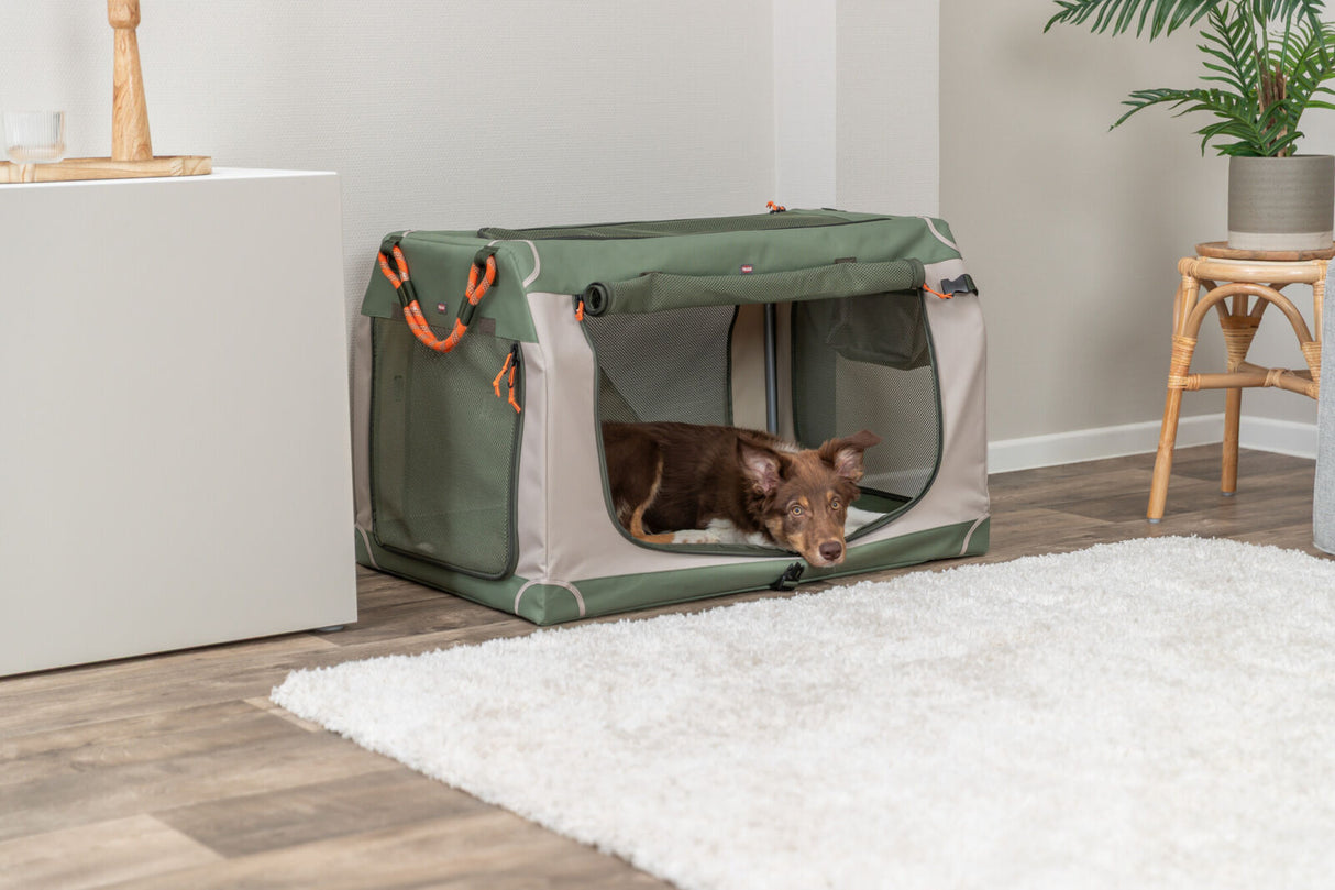 Hund liegt in einem zusammenklappbaren, grünen Hundekäfig in einem Wohnzimmer.