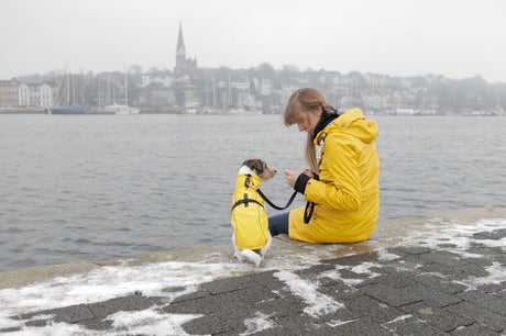 Eine Person und ein kleiner Hund in gelben Regenmänteln sitzen an einem verschneiten Ufer mit Blick aufs Wasser.