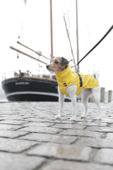 Ein kleiner Hund trägt einen gelben Mantel und steht an der Leine auf einem Pflasterweg, im Hintergrund ein großes Segelboot.