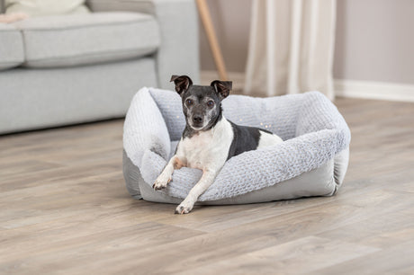 Hund liegt in einem grauen, flauschigen Hundebett auf Holzboden vor einem Sofa in neutralem Raum.