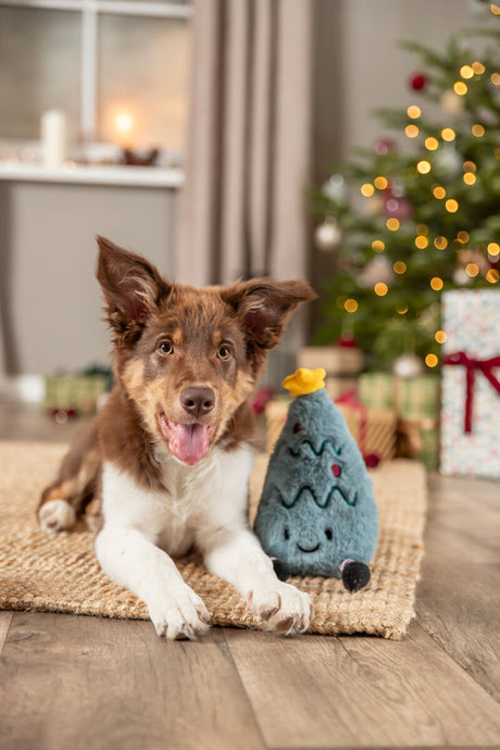 Ein brauner Hund liegt neben einem Spielzeugbaum vor einem geschmückten Weihnachtsbaum.