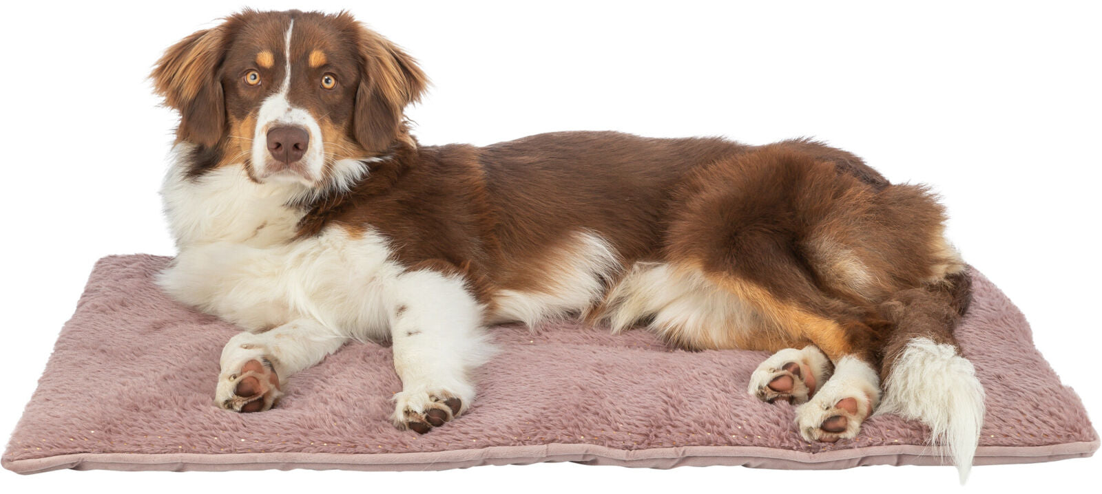 Liegematte Livia Soft