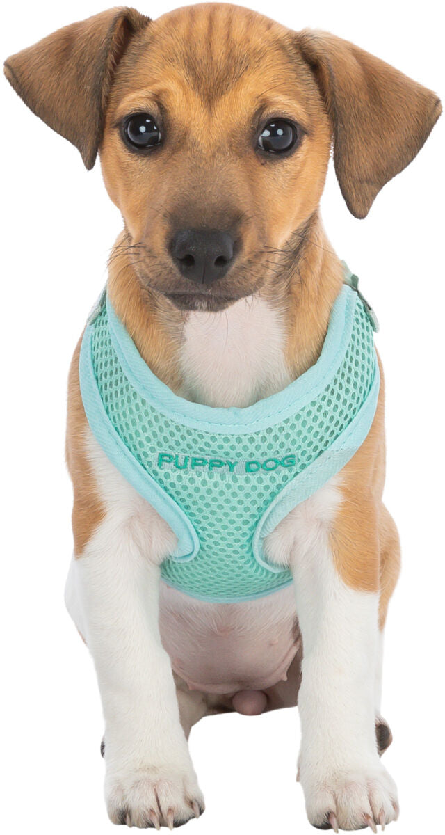 PHO_PRO_DOG_CLIP_15560-15570-1
