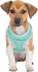 PHO_PRO_DOG_CLIP_15560-15570-1
