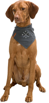 Ein sitzender, brauner Hund trägt ein graues Halstuch mit weißen Buchstaben und Linien, die auf einen Kompass hinweisen.