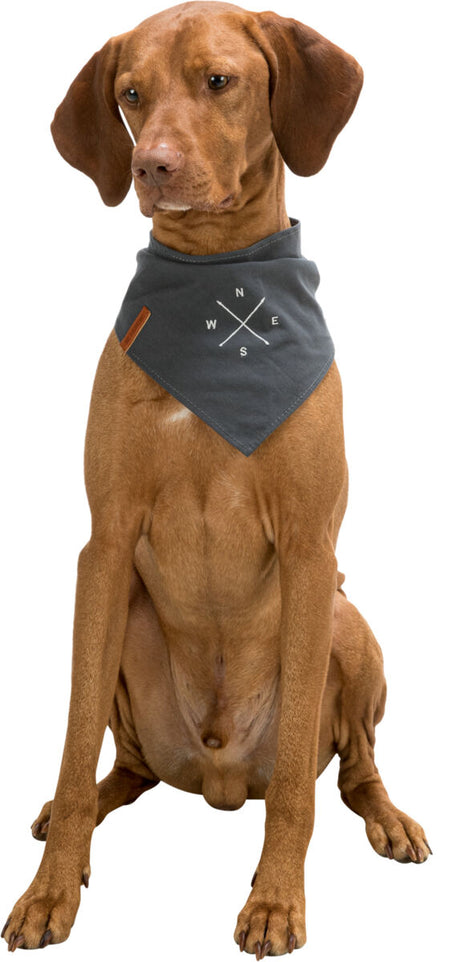 Ein sitzender, brauner Hund trägt ein graues Halstuch mit weißen Buchstaben und Linien, die auf einen Kompass hinweisen.