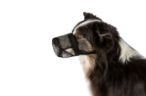 Ein Hund mit schwarz-weißem Fell trägt einen schwarzen Maulkorb aus Netzmaterial, Seitenprofil auf weißem Hintergrund.