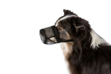 PHO_PRO_DOG_CLIP_17591-17596-1