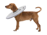 PHO_PRO_DOG_CLIP_19421-19422-19423-19424-19425-19426-19427-1