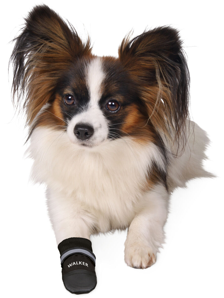 Ein Hund mit langem braun-schwarz-weißem Fell trägt einen schwarzen Hundeschuh mit der Aufschrift "WALKER" auf der Pfote.