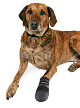 Ein sitzender Hund mit gestromtem Fell und einem schwarzen Pfotenschutz mit der Aufschrift "WALKER" an der Vorderpfote.