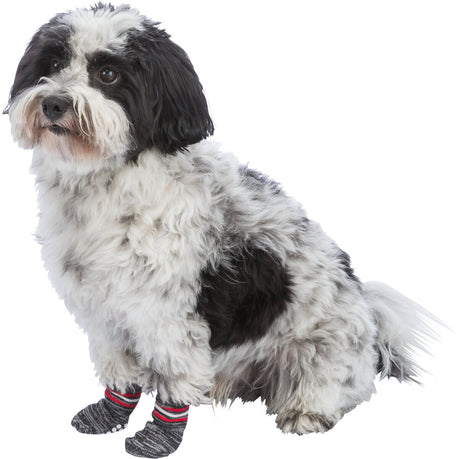 PHO_PRO_DOG_CLIP_19500-19501-19502-19503-19504-19505-19506-1