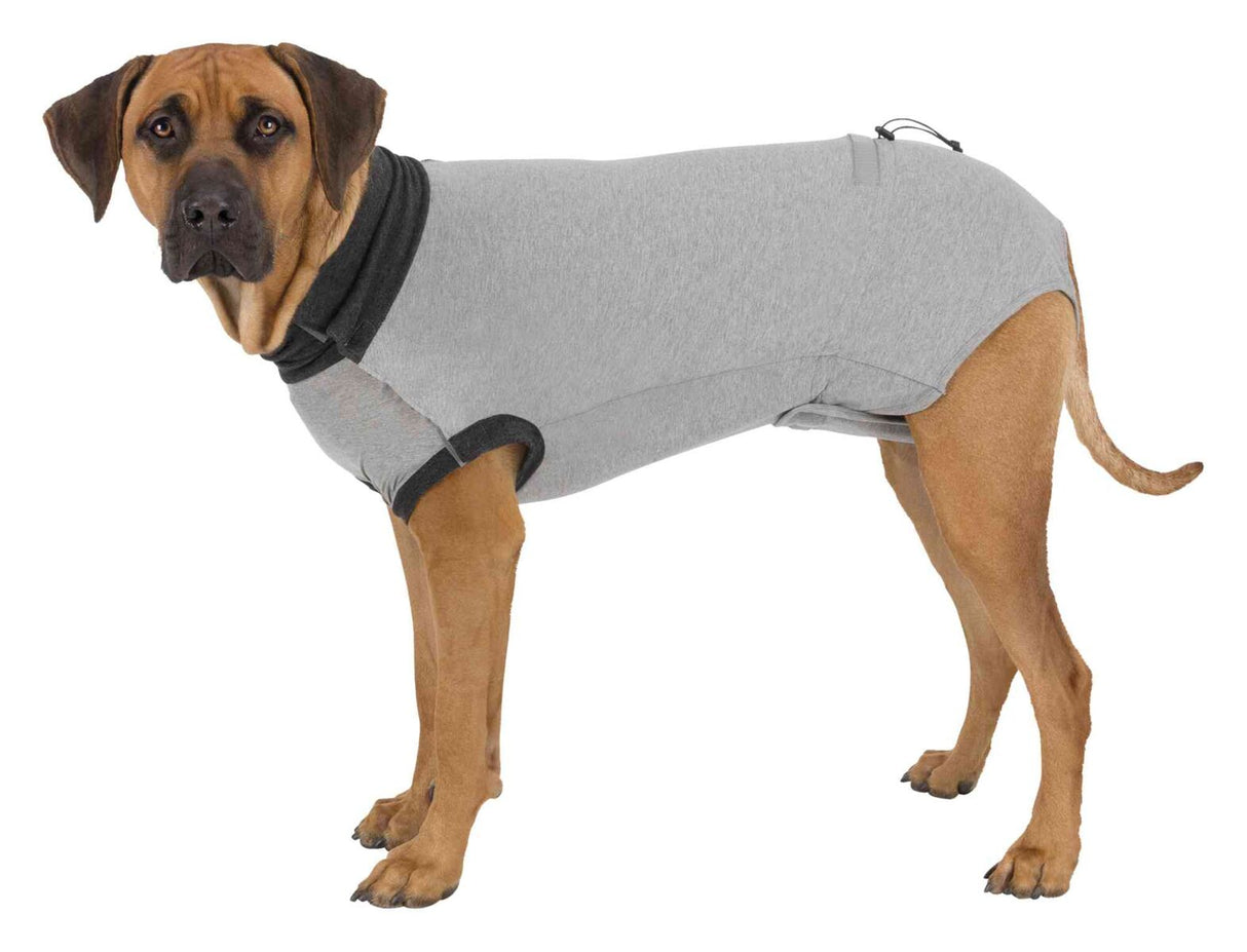 PHO_PRO_DOG_CLIP_19531-19532-19533-19534-19535-19536-19537-19538-19539-1