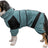 PHO_PRO_DOG_CLIP_23851-23852-23853-23854-23855-23856-1