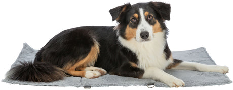 PHO_PRO_DOG_CLIP_28233-28234-28235-1