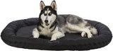 PHO_PRO_DOG_CLIP_28240-1