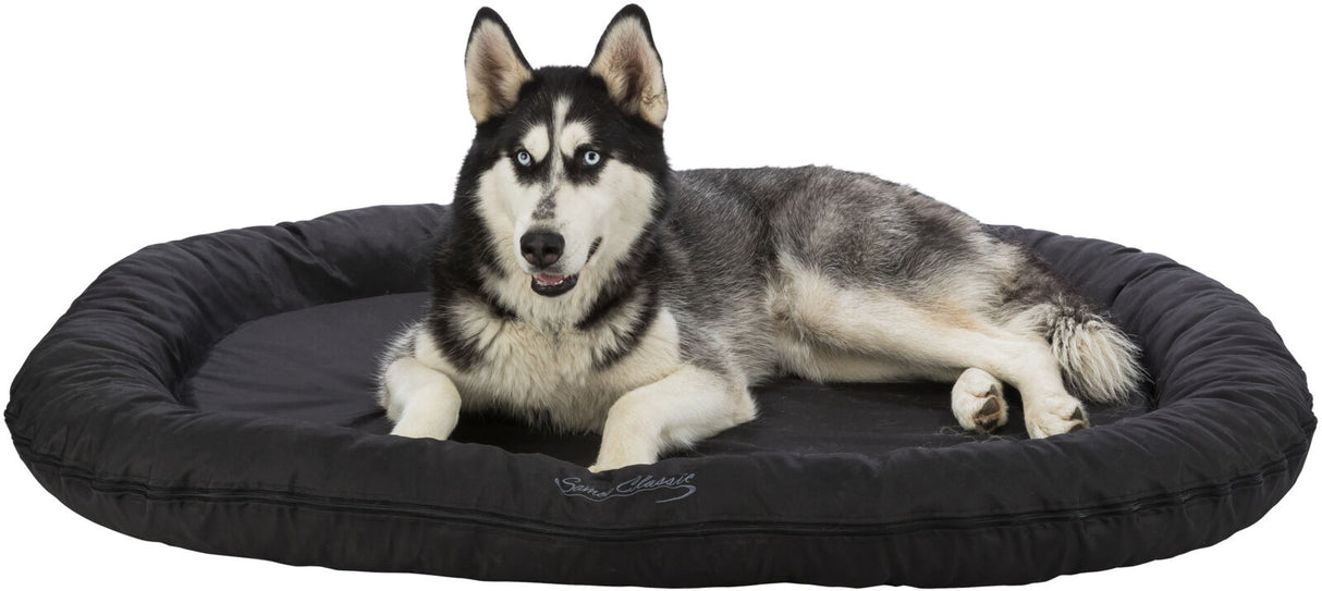 Hund mit schwarz-weißem Fell auf rundem, schwarzem Tierbett liegend.