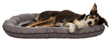 PHO_PRO_DOG_CLIP_28245-1