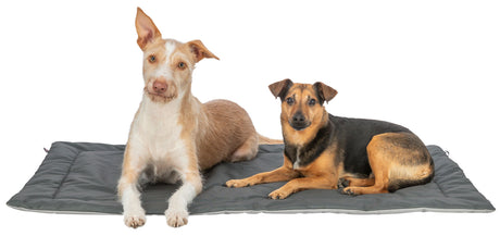 Zwei Hunde, einer hellbraun und weiß, der andere schwarz und braun, liegen nebeneinander auf einer grauen Matte.