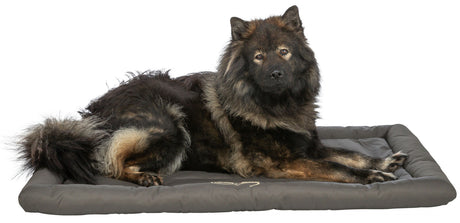 Ein großer, flauschiger Hund liegt auf einem grauen Hundebett mit Blick nach vorne.