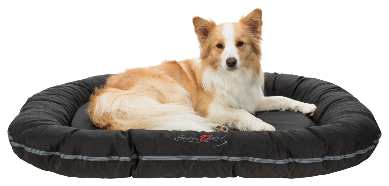 Ein flauschiger, hellbraun-weißer Hund liegt entspannt auf einem großen, schwarzen Hundebett.