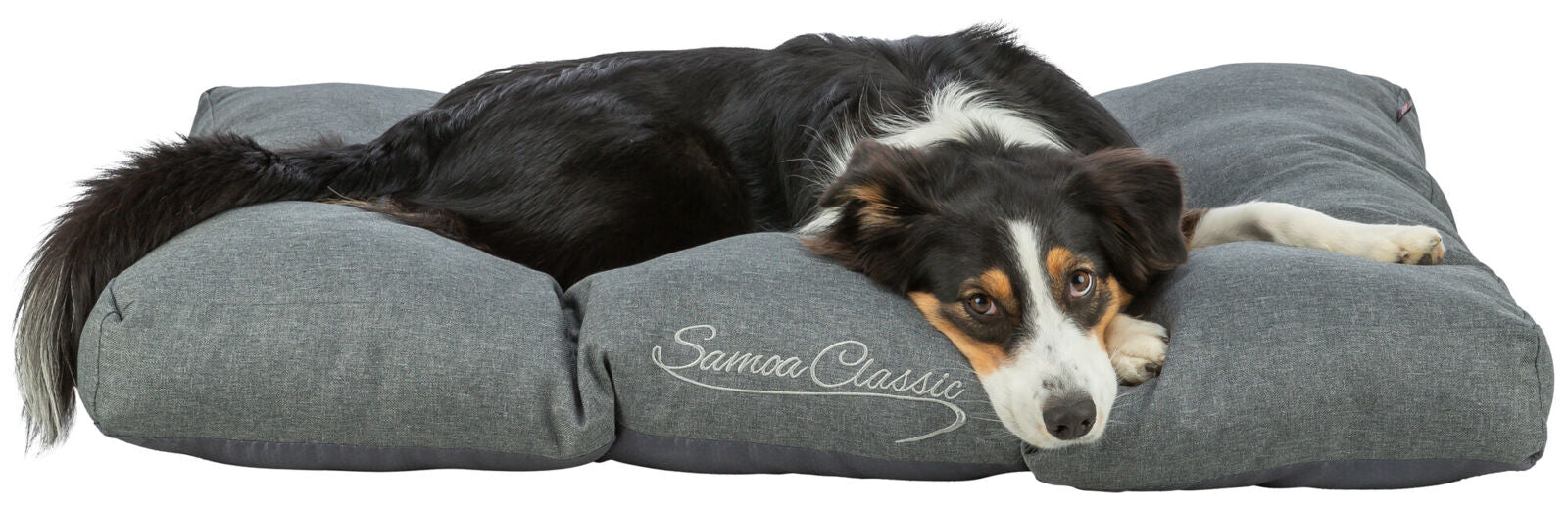 Ein Hund liegt auf einem großen, grauen Hundebett mit der Aufschrift "Samoa Classic".
