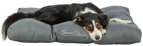 Ein Hund liegt auf einem großen, grauen Hundebett mit der Aufschrift "Samoa Classic".