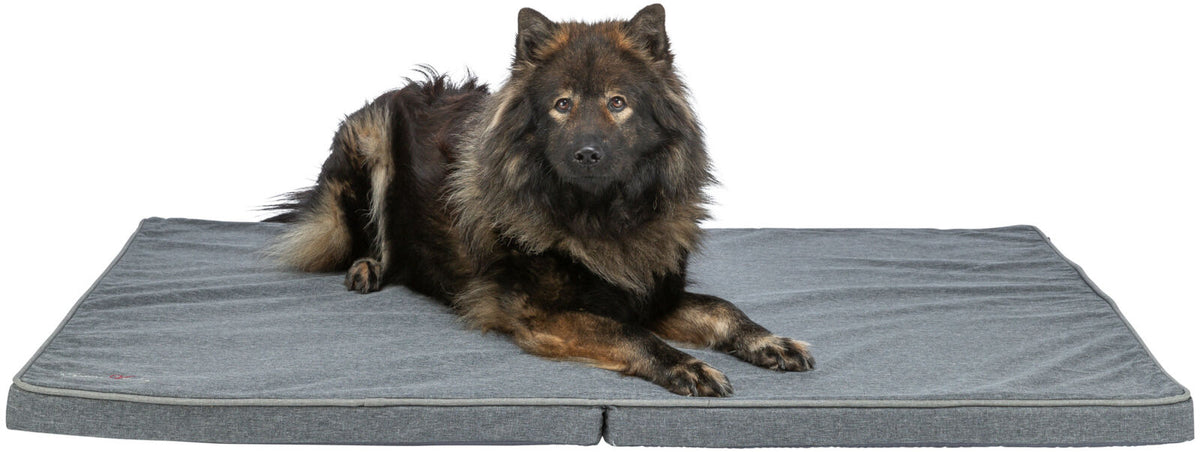 Ein großer, flauschiger Hund liegt auf einer grauen, rechteckigen Matte vor einem weißen Hintergrund.