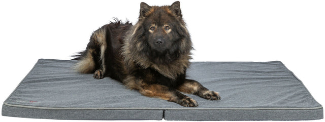 Ein großer, flauschiger Hund liegt auf einer grauen, rechteckigen Matte vor einem weißen Hintergrund.