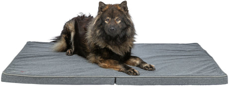 Ein großer, flauschiger Hund liegt auf einer grauen, rechteckigen Matte vor einem weißen Hintergrund.