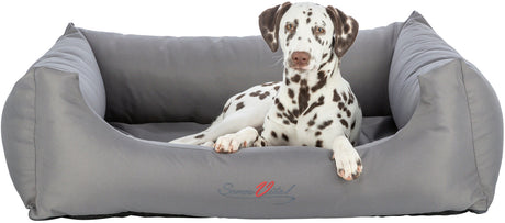 PHO_PRO_DOG_CLIP_28485-28486-28487-28488-5